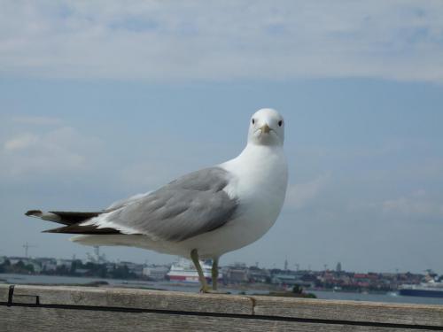 Helsinki